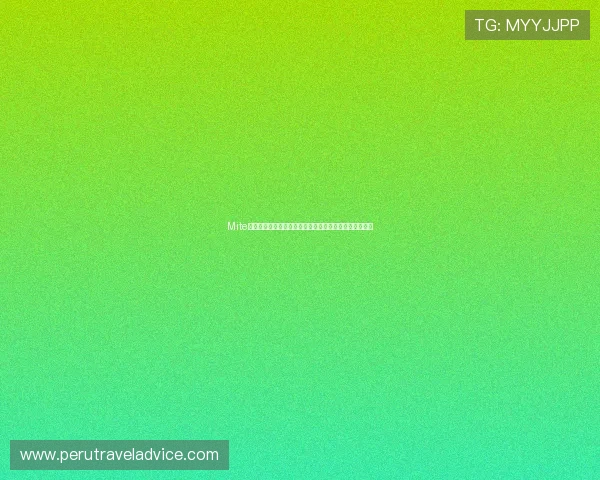 Mite娱乐版下载安装步骤详解,全面掌握世界杯赛事最新动态 Mite娱乐版下载安装步骤详解,全面掌握世界杯赛事最新动态